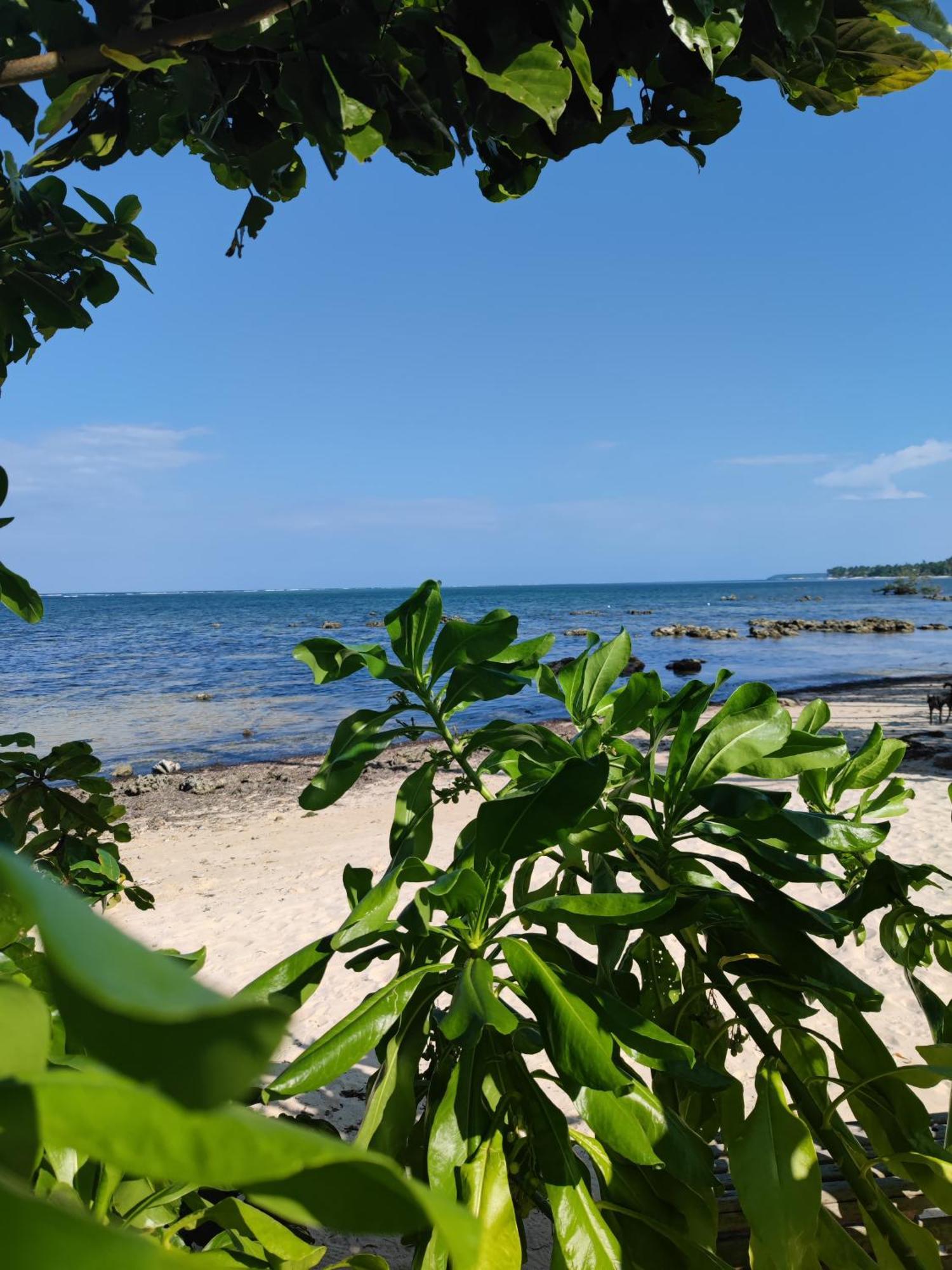 Daluyong Beach Resort General Luna  Exterior photo